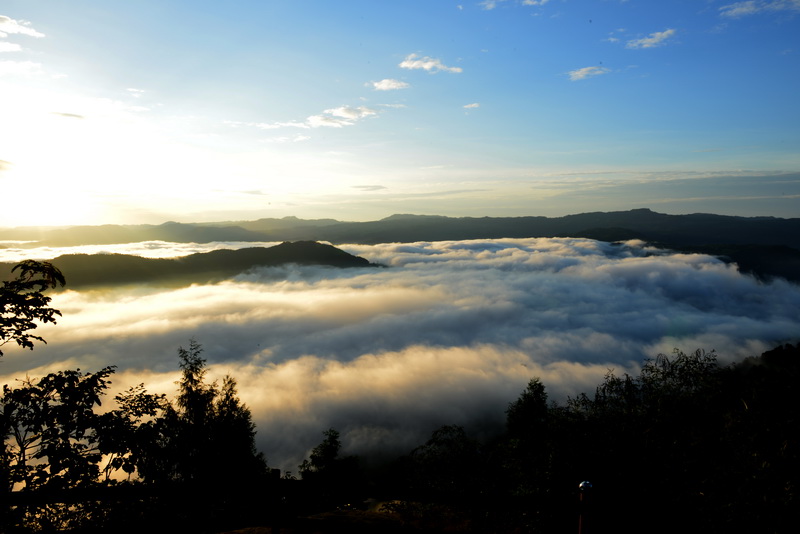 DSC_2977_С.JPG