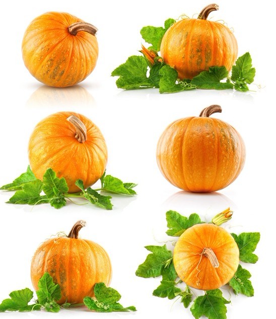 保胎传说南瓜蒂(老乡写的书中有这个)