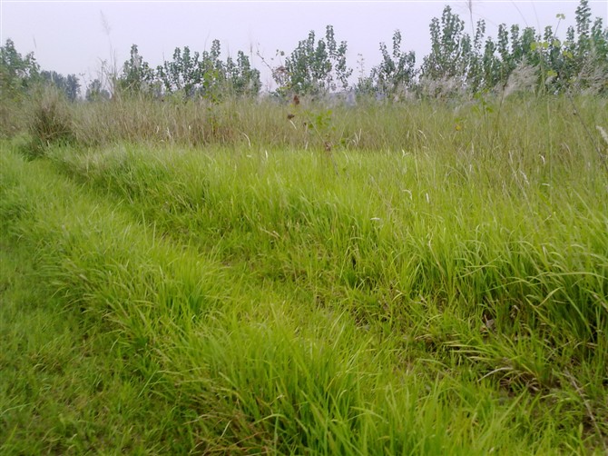 65.jpg