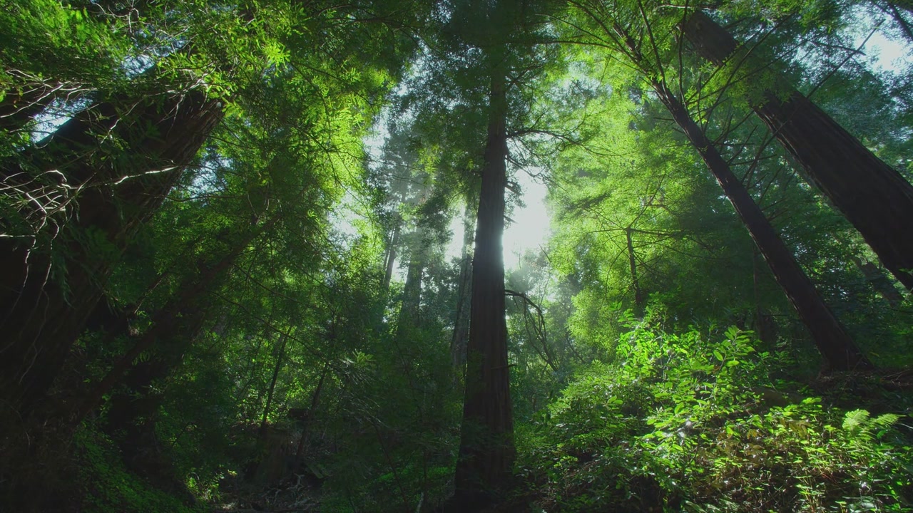 时间的风景——随手截图,绝对可以做电脑桌面!