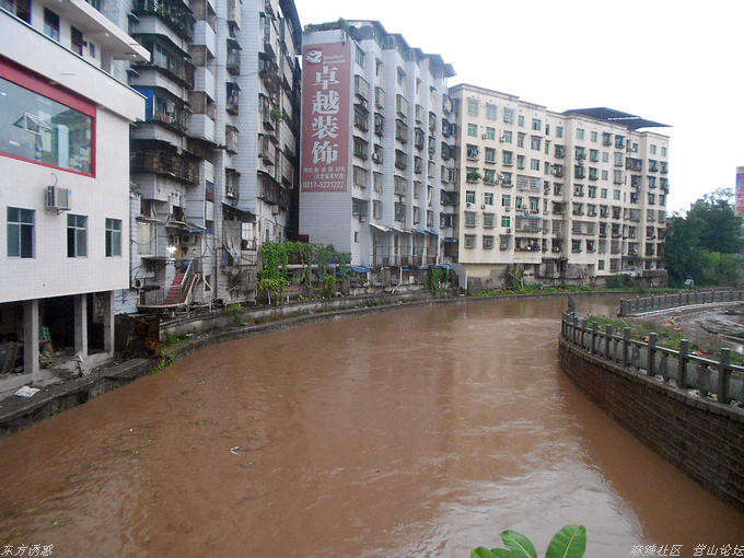 DSCN0800.jpg