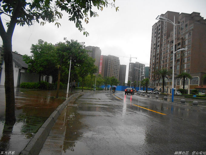 DSCN0816.jpg