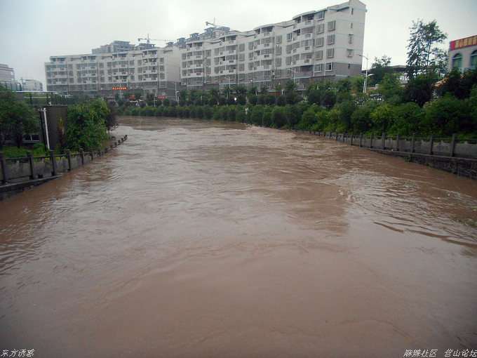 DSCN0824.jpg
