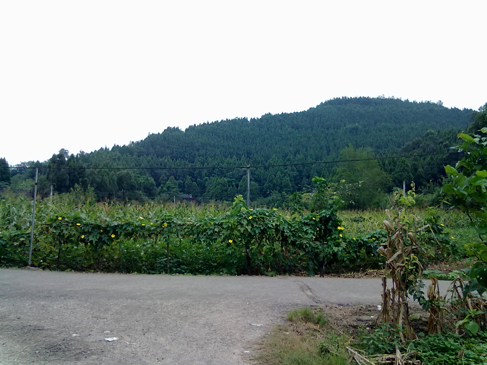 20120822007.jpg
