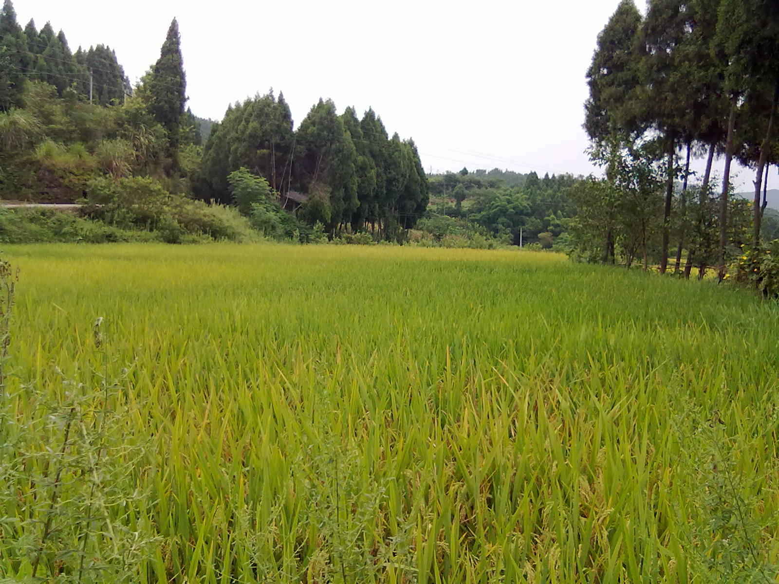 20120822011.jpg