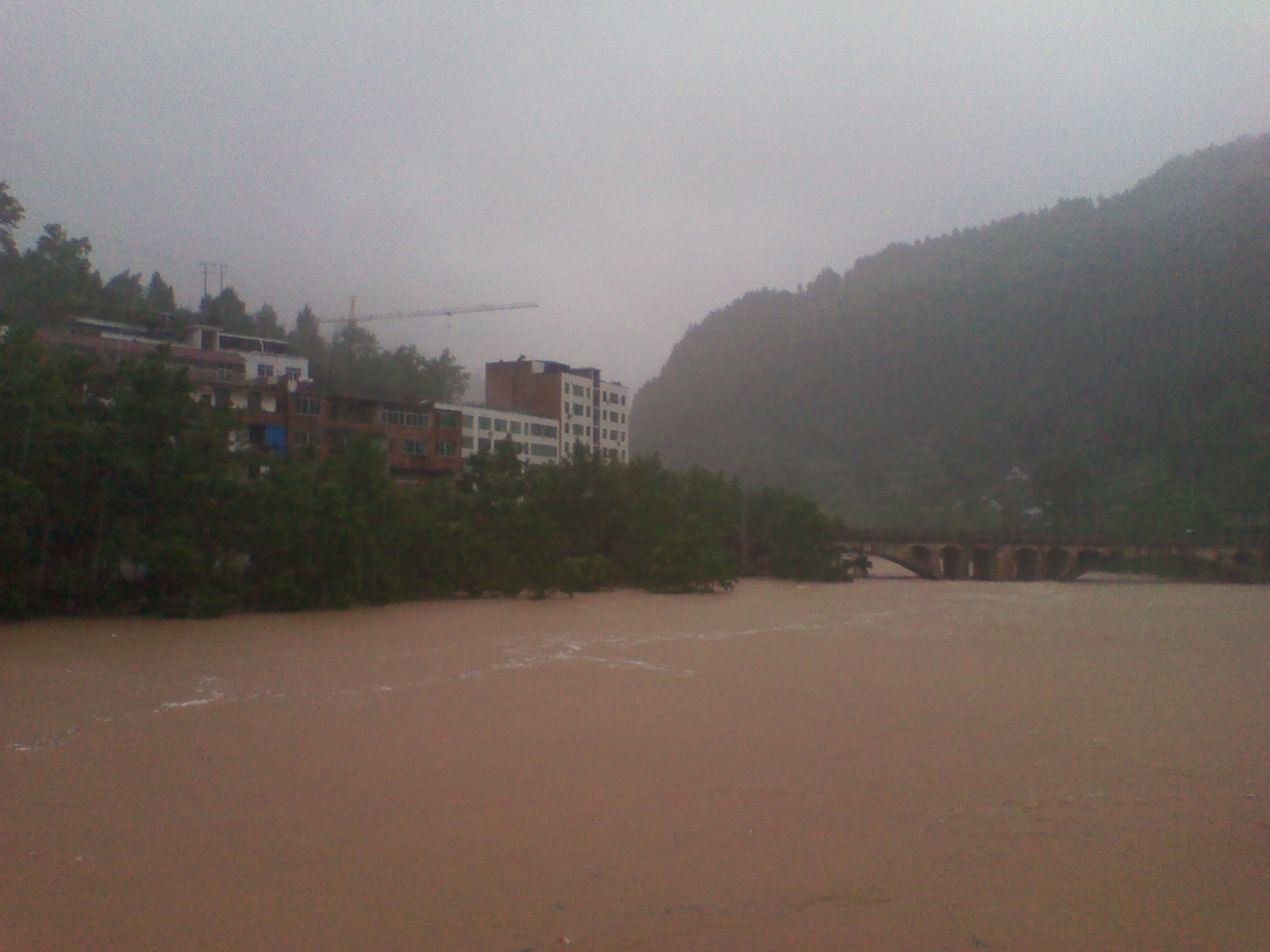 IMG_20120901_111733.jpg