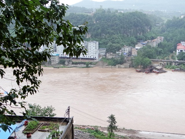 DSC01793_conew1.jpg