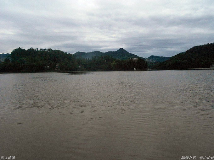 DSCN0915.jpg