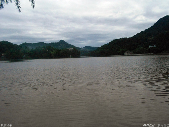 DSCN0918.jpg