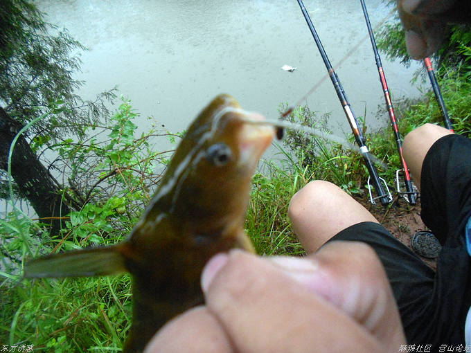 DSCN0907.jpg