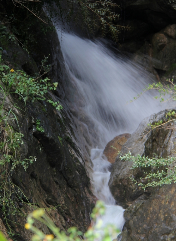 IMG_6036.jpg