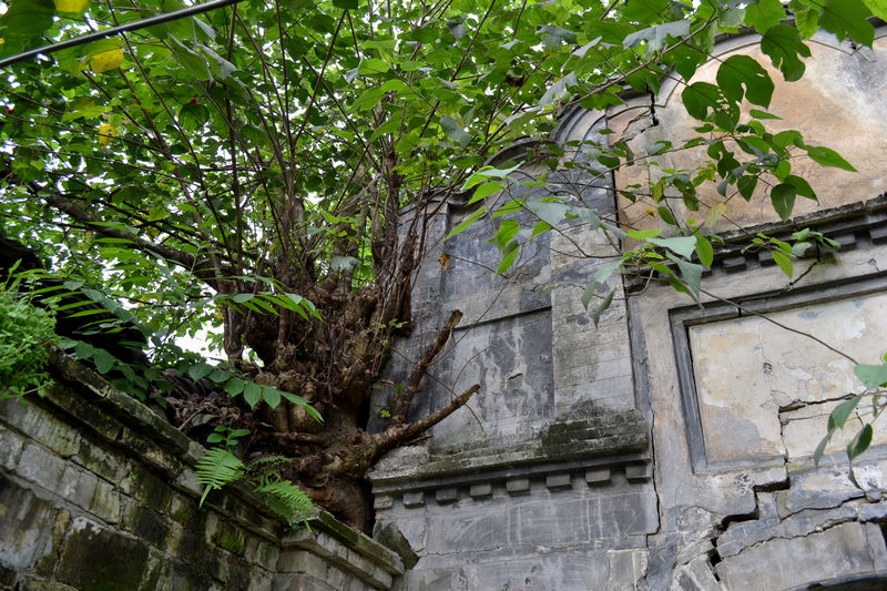 DSC_7254-2.jpg