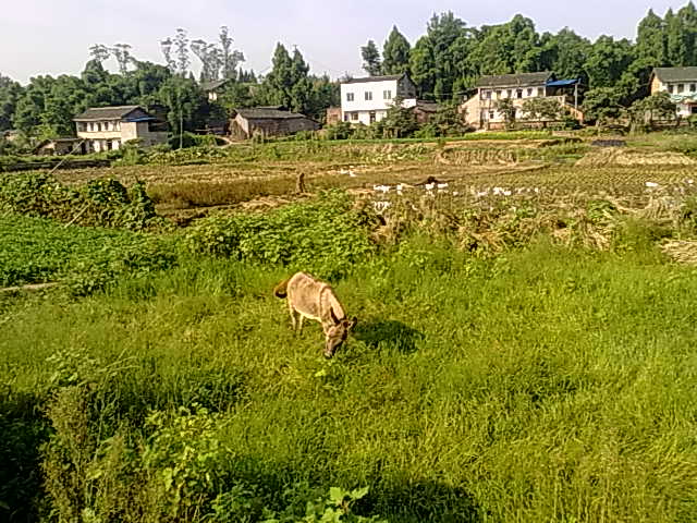 Ƭ 004.jpg