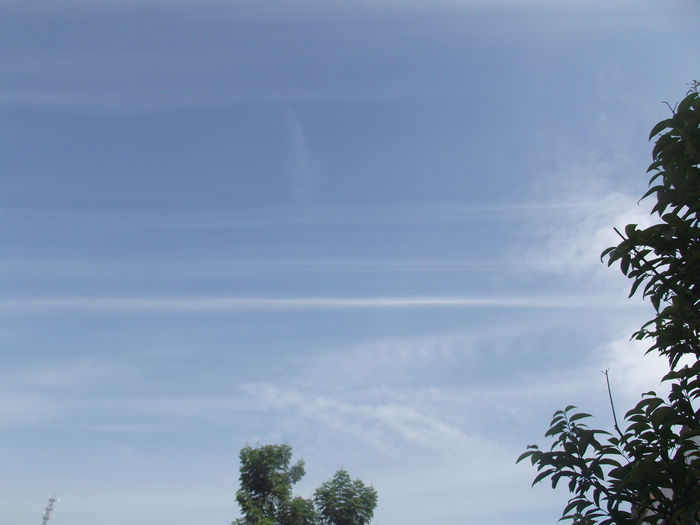 DSCF4295.JPG
