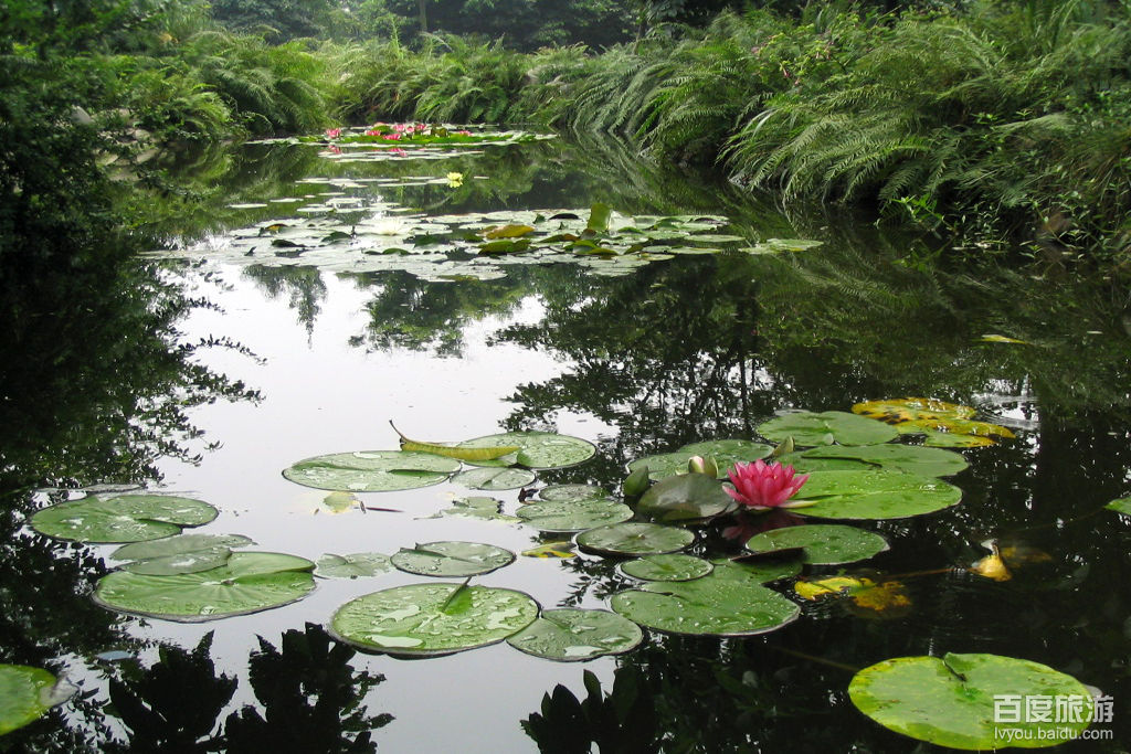 活水公園