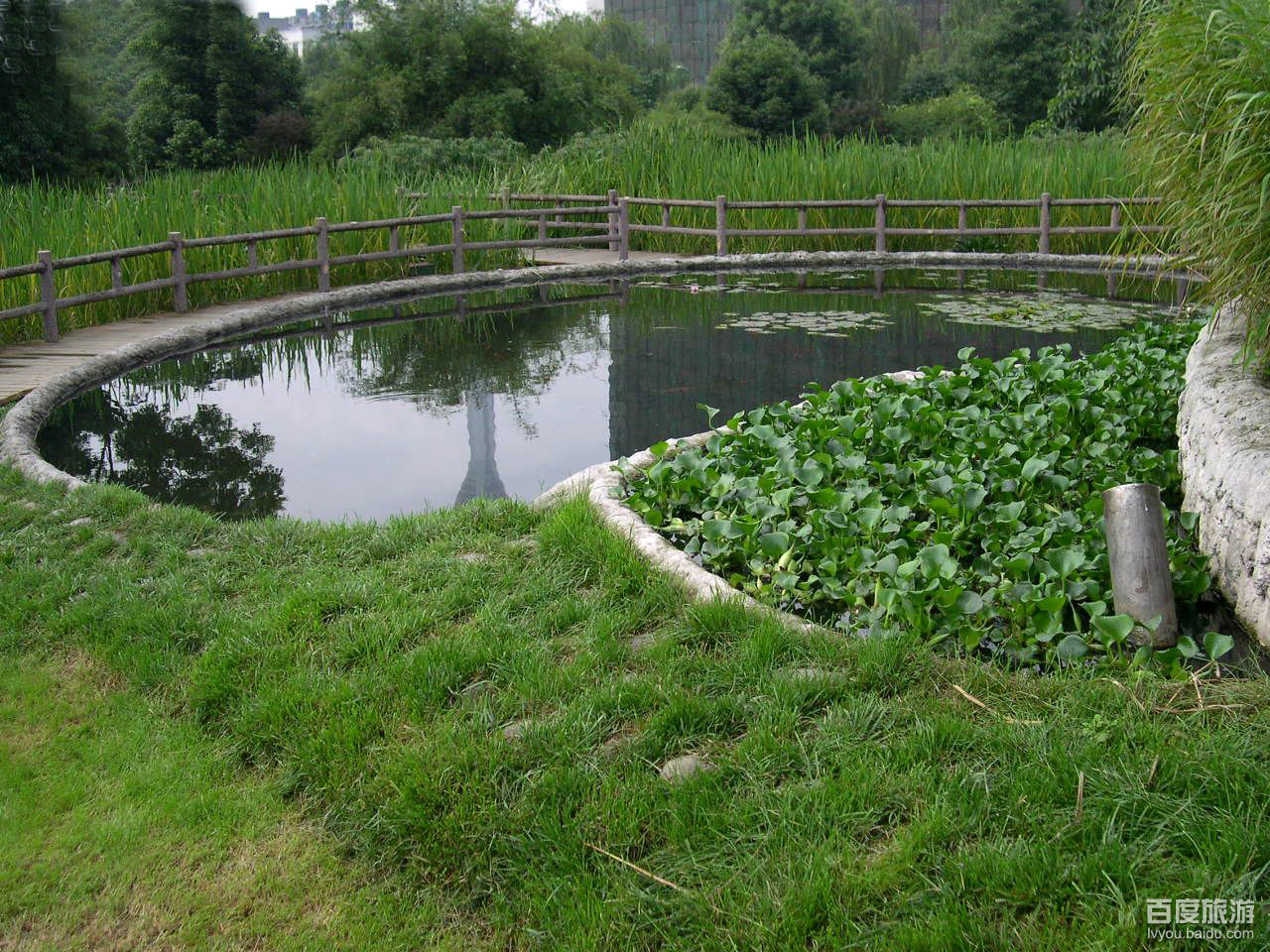 活水公園是世界上第一座城市的綜合性環境教育公園位