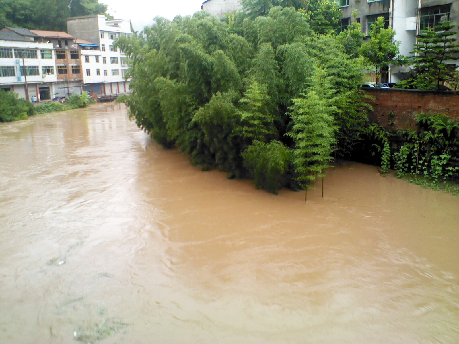 强降雨,洪水灌入双流镇双流小学操场-营山论坛-麻辣社区-四川论坛