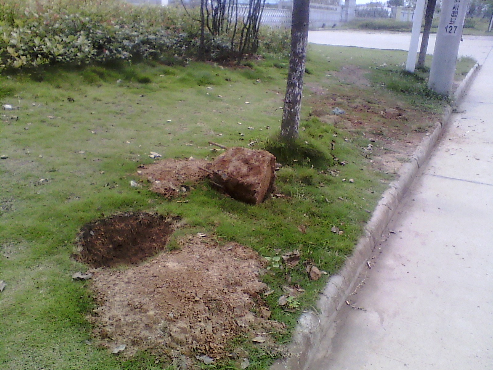 IMG_20120908_142027.jpg