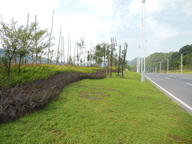 DSCN1629_.jpg