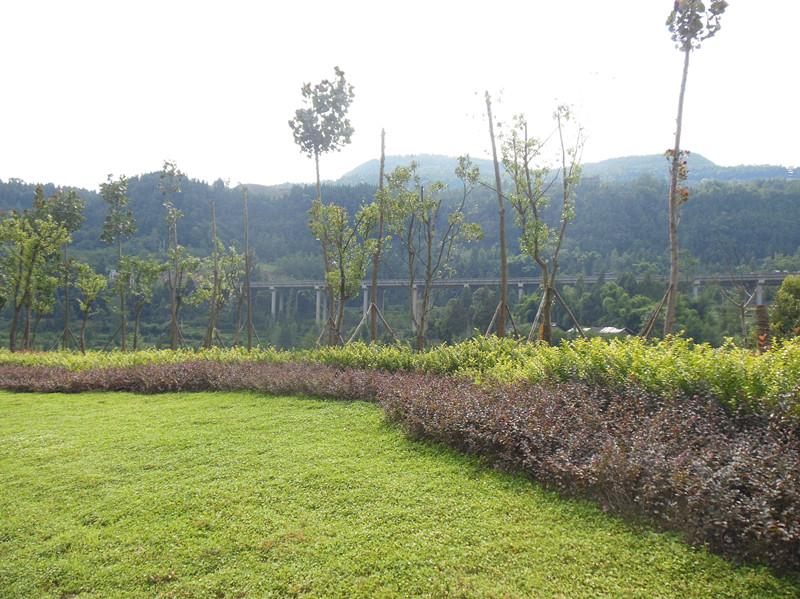 DSCN1630_.jpg