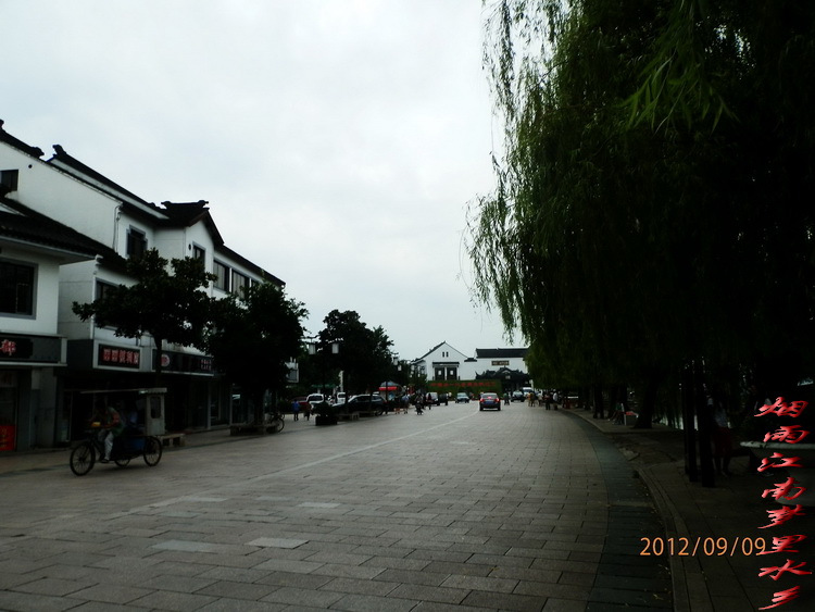 P9090128.jpg1.jpg