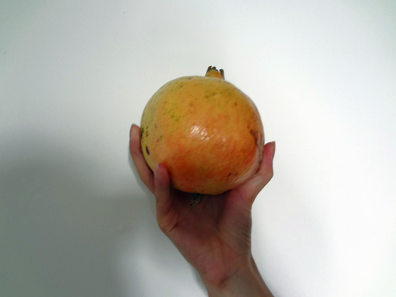 DSC02262_.jpg