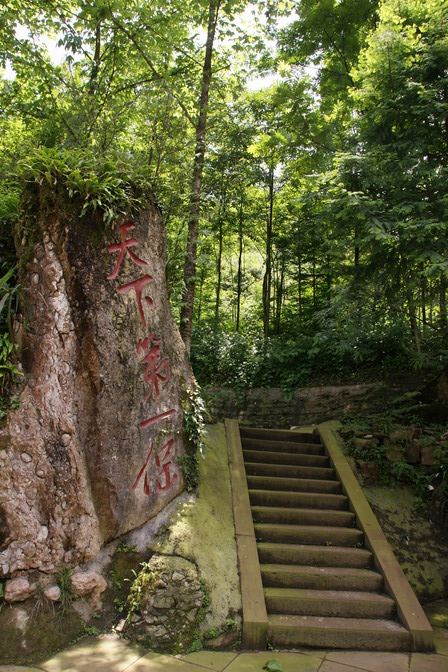 阎大树会长题"天下第一保"保长