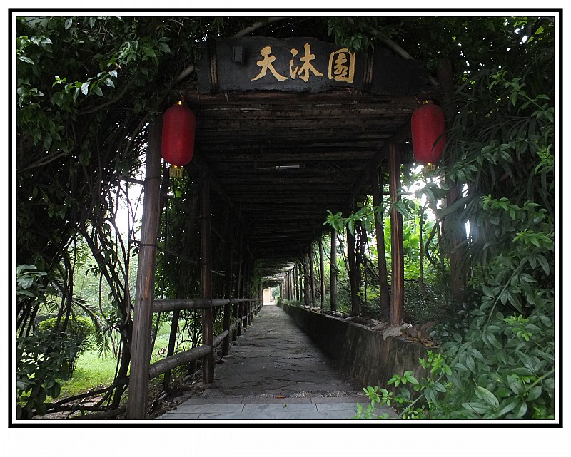 conew_dscf8521.jpg