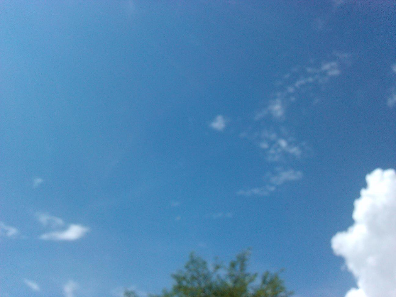 IMG_20120912_140013.jpg