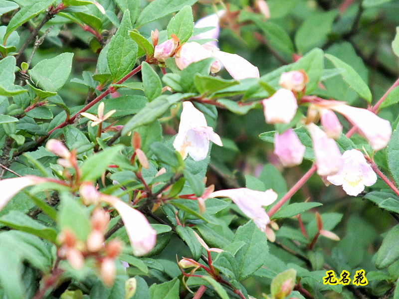 DSCF7040_.jpg