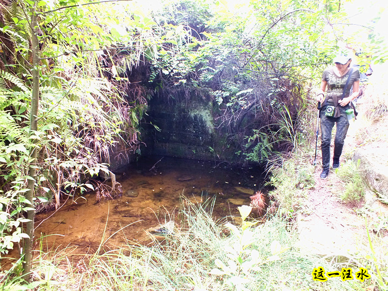 DSCF7043_.jpg