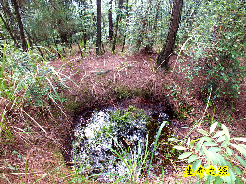 DSCF7182_.jpg