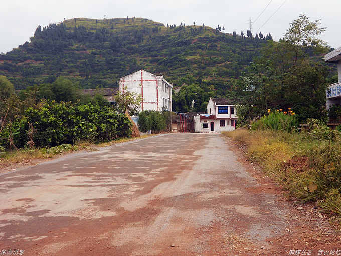 DSCN1435.jpg