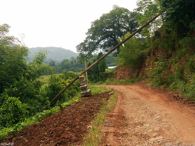 DSCN1441.jpg