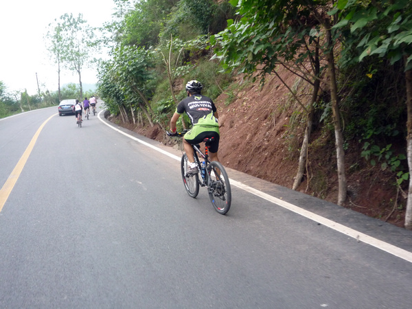 P1140578.jpg