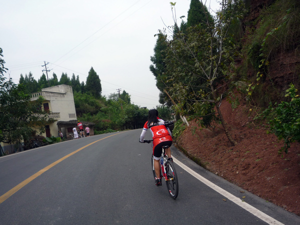 P1140582.jpg
