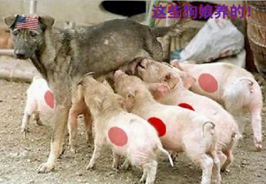 005106igap52u44jigl2ia.jpg