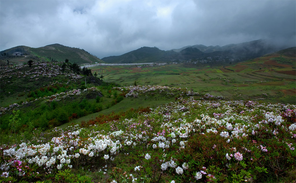 IMG_6477Ϊܶ-1Ϊܶ-1.jpg