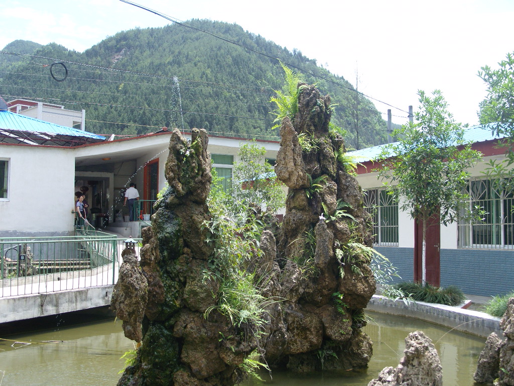 SNV10481.JPG