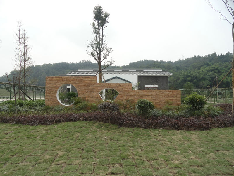 DSC08304.JPG