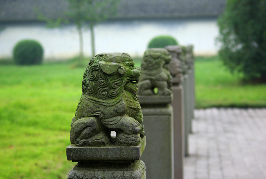 IMGP0915.jpg