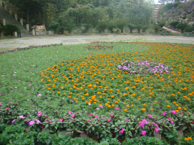 DSC07337.JPG