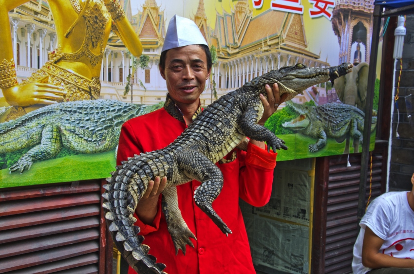 DSC_6537_conew1.jpg