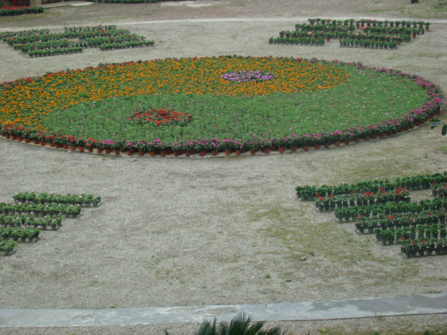 DSC07383.JPG