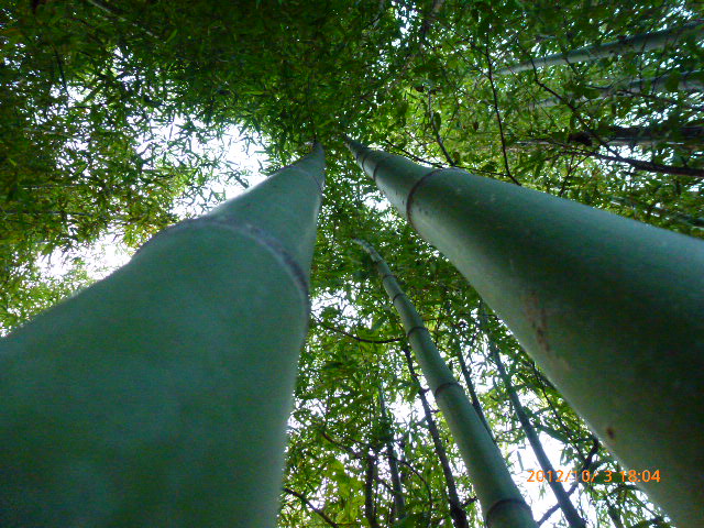 P1030567.JPG
