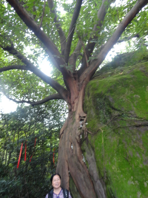 DSC00649.JPG