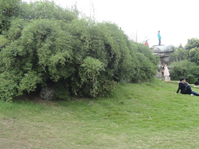 DSC00677.JPG