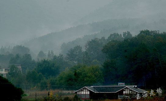 DSC_4975.JPG