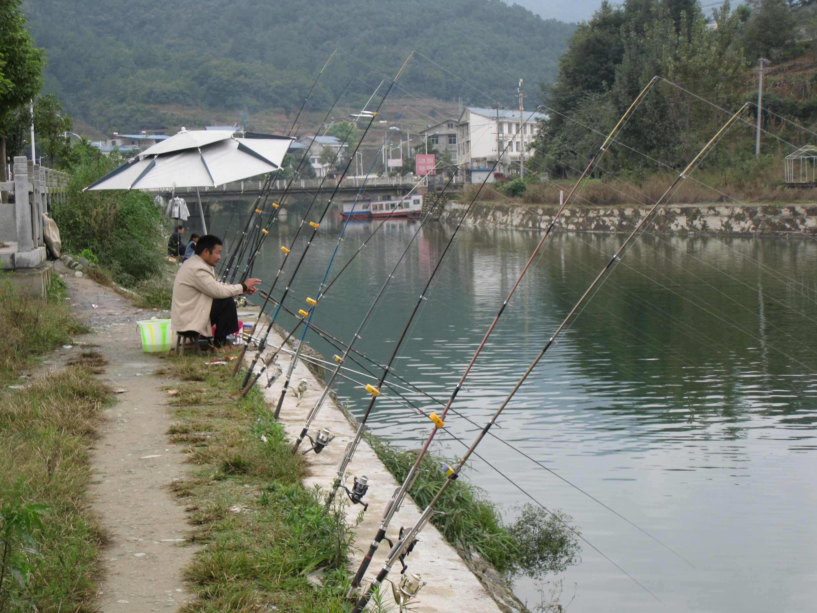 合肥青龙水库钓鱼图片