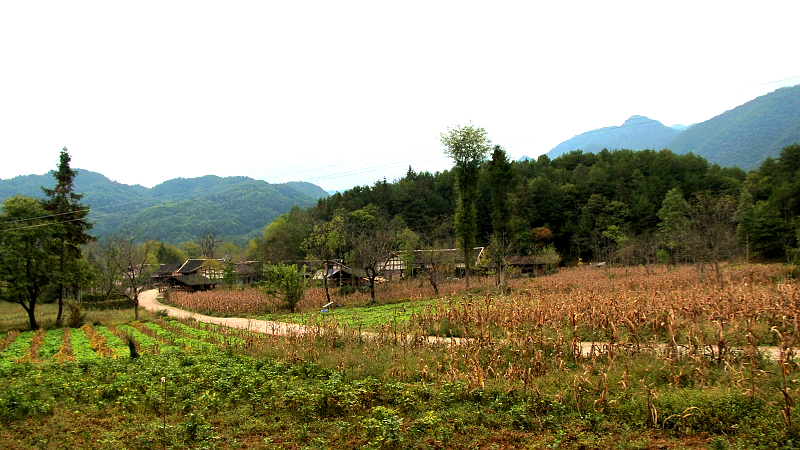 国庆假期 — 空山坝农村采风-通江论坛-四川论坛-麻辣社区